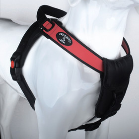 Abbildung Tre Ponti TP880 Potenza mit schwarzem Rand rot