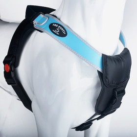 Abbildung Tre Ponti TP885 Potenza mit reflektierendem Rand hellblau