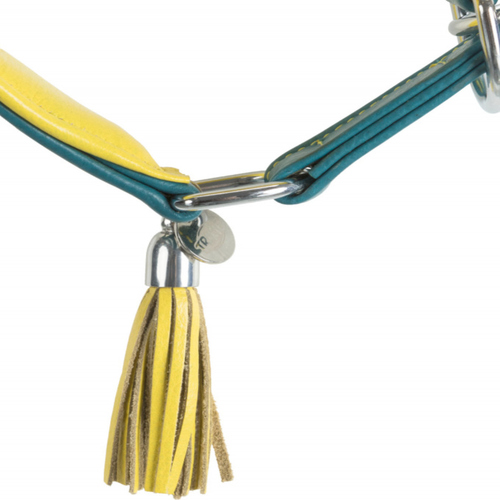 weitere Abbildung Trixie Active Comfort Windhundehalsband mit Zug-Stopp petrol/gelb