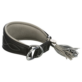 Abbildung Trixie Active Comfort Windhundehalsband mit Zug-Stopp schwarz/grau