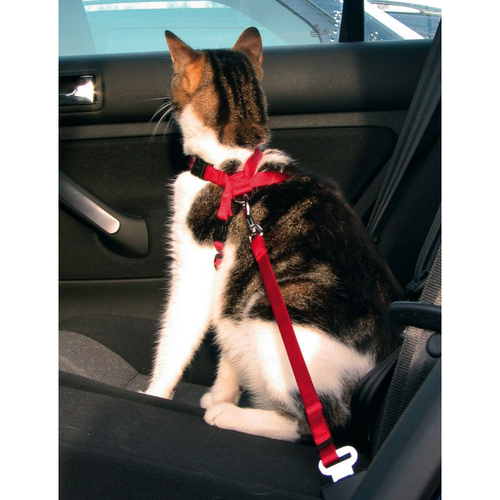 weitere Abbildung Trixie Auto-Sicherheitsgeschirr fr Katzen