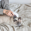 Trixie Carding-Striegel für Katzen Abbildung 4