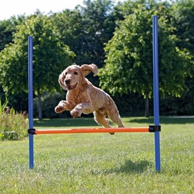 Abbildung Trixie Dog Activity Agility Hrde
