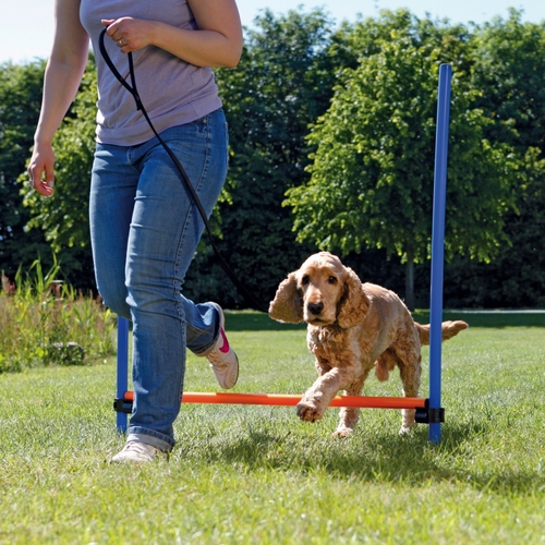 weitere Abbildung Trixie Dog Activity Agility Hrde
