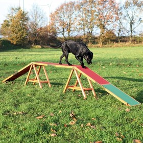 Abbildung Trixie Dog Activity Agility Steg