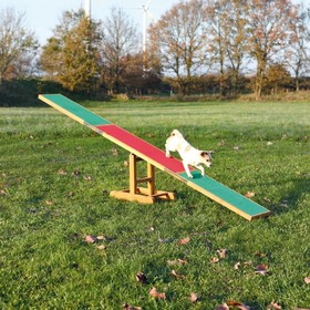 Abbildung Trixie Dog Activity Agility Wippe