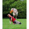 Trixie Dog Activity Dog Disc, Kunststoff Abbildung 3