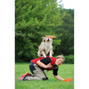 Trixie Dog Activity Dog Disc, Kunststoff Abbildung 4