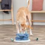 Torre dei fiori per l'attività del cane, figura 63