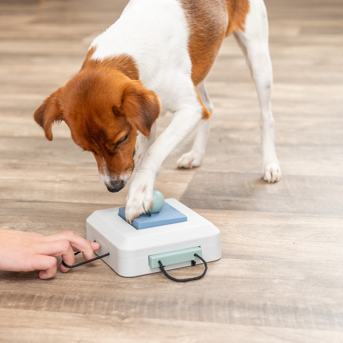 Gioco Intelligente Trixie Per Cani - Scatola Con Nascondigli Per Snack, Sfida Mentale - Foto 8