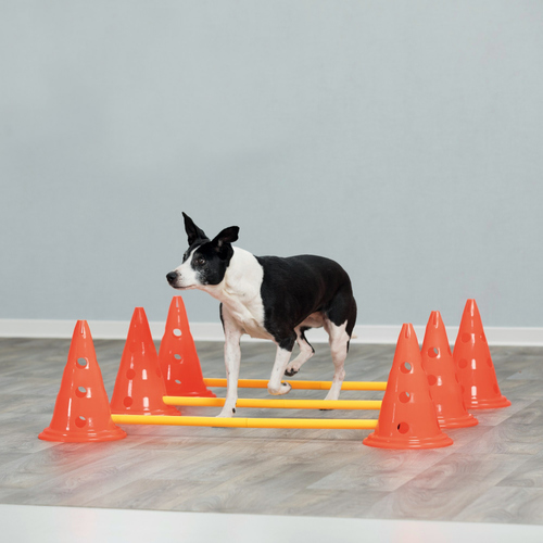 weitere Abbildung Trixie Dog Activity Hindernis Set