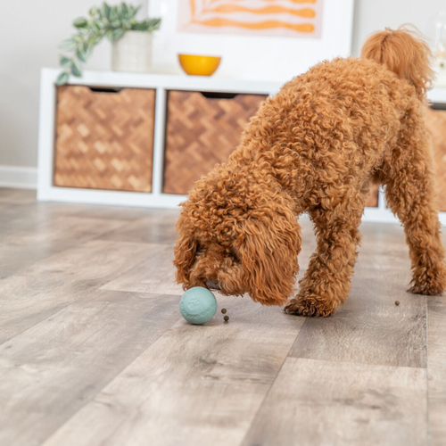 weitere Abbildung Trixie Dog Activity Labyrinth-Snacky