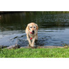 Trixie Dog Activity MOT®Fun, schwimmt Abbildung 3