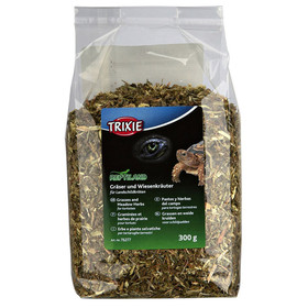 Reptilien-Shop, Terrarium, Beleuchtung, Terrarienzubehör