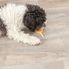 Trixie Hundesnack Lolly mit Huhn, Reis und Rinderhaut-Stick 35 g - 30 Stück / Sparpaket Abbildung 5