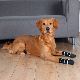 Abbildung Trixie Hundesocken