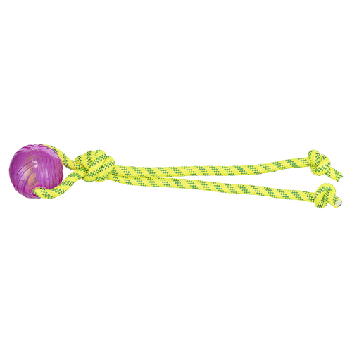 Trixie Hundespielzeug Aqua Toy Spieltau mit Ball