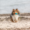 Trixie Hundespielzeug Wabenball am Seil, TPE Abbildung 4