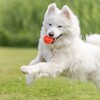Trixie Hundespielzeug Wabenball orange Abbildung 5