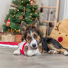 Trixie Hundespielzeug X-Mas Hund Abbildung 3