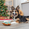 Trixie Hundespielzeug X-Mas Weihnachtsmann Abbildung 4