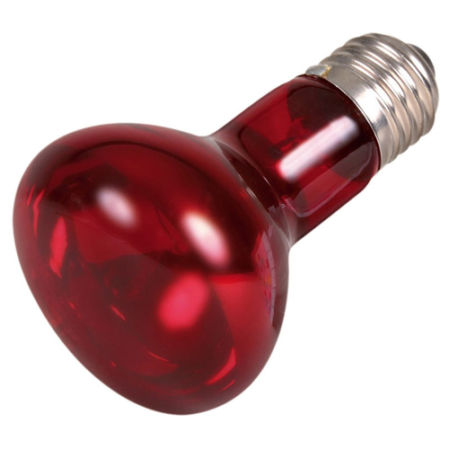 weitere Abbildung Trixie Infrarot Wrme-Spotlampe