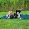 Trixie Insect Shield® Outdoor-Decke taupe für Hunde Abbildung 4