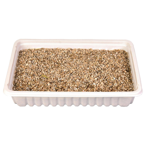 weitere Abbildung Trixie Katzengras-Schale 100 g