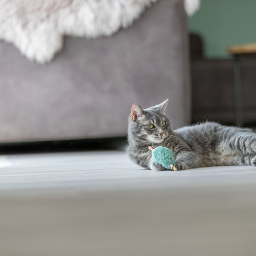 weitere Abbildung Trixie Katzenspielzeug Matatabi Herz