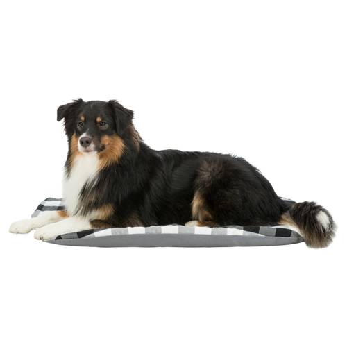 weitere Abbildung Trixie Kissen Scoopy schwarz/wei/grau fr Hunde