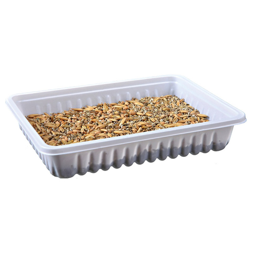 weitere Abbildung Trixie Kleintiergras, Schale 100 g