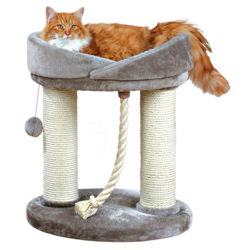 katze nur nassfutter Monoprotein Huhn Nassfutter für Katze main image 1