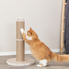 Trixie Kratzstamm XXL Rue beige Abbildung 4