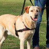 Trixie Lead'n'Walk Soft Geschirr Abbildung 2