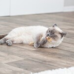 Matatabi-Stick mit Fransen, Abbildung 22