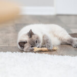 Matatabi-Stick mit Fransen, Abbildung 23