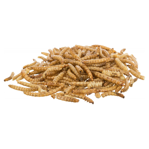 weitere Abbildung Trixie Mehlwrmer 200 g