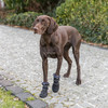 Trixie Pfotenschutz Walker Active Long schwarz Abbildung 5