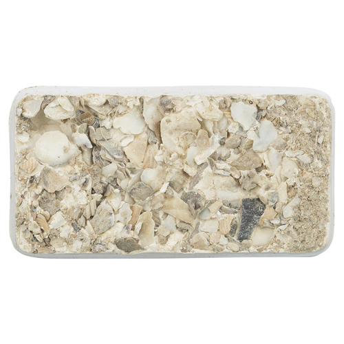 Trixie Pickstein mit Muscheln