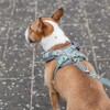 Trixie Premium FlexMesh Geschirr salbei Abbildung 2