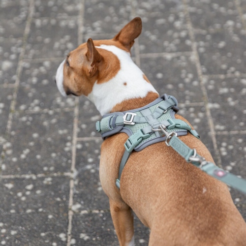 weitere Abbildung Trixie Premium FlexMesh Geschirr salbei