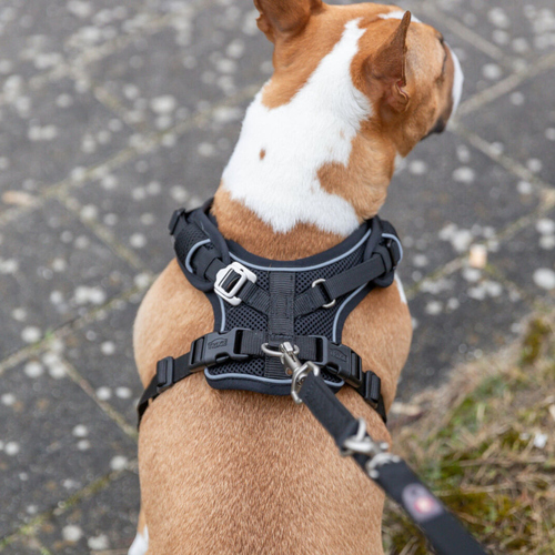 weitere Abbildung Trixie Premium FlexMesh Geschirr schwarz