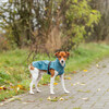 Trixie Regenmantel Vimy für Hunde petrol Abbildung 5