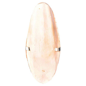 Abbildung Trixie Sepia-Schale mit Halter - 144 Stck