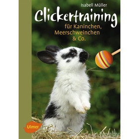 Abbildung Ulmer Clickertraining fr Kaninchen