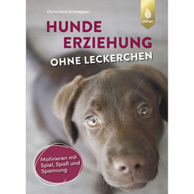Abbildung Ulmer Hundeerziehung ohne Leckerchen
