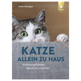 Abbildung Ulmer Katze allein zu Haus