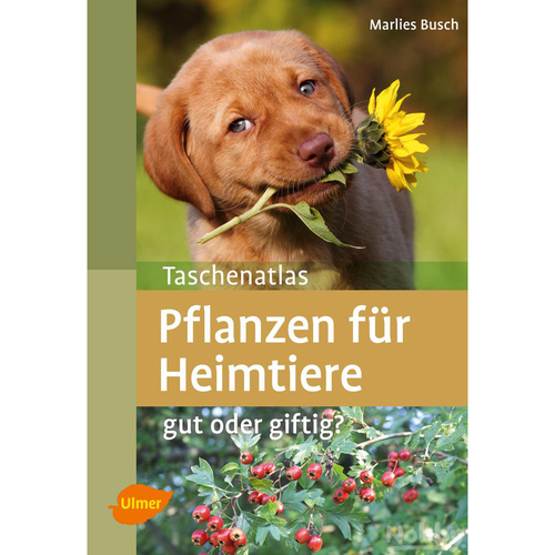 Ulmer Pflanzen für Heimtiere