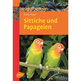 Abbildung Ulmer Sittiche und Papageien