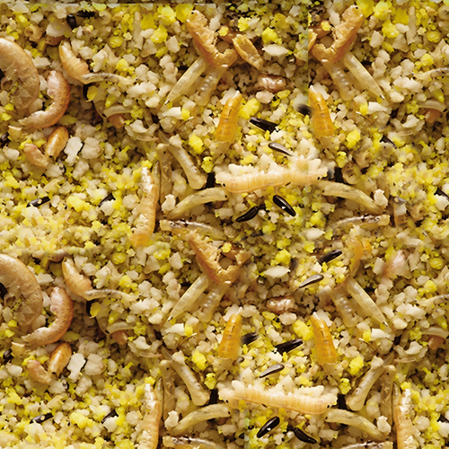 weitere Abbildung Versele-Laga NutriBird Gold Crumble Exoten 4 kg